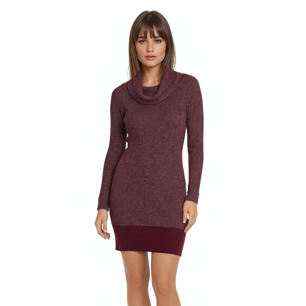 Toad&Co Sweater Dress Women's Size XS‎ Burgundy Stripe Cowl-Neck Ribbed